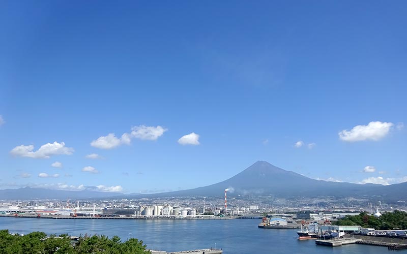 Mt.Fuji & Harbor View Park